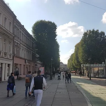Unique Gertruda Kaunas